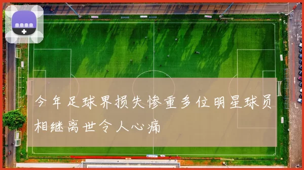 今年足球界损失惨重多位明星球员相继离世令人心痛