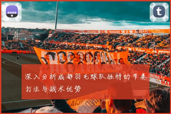 深入分析成都羽毛球队独特的节奏打法与战术优势