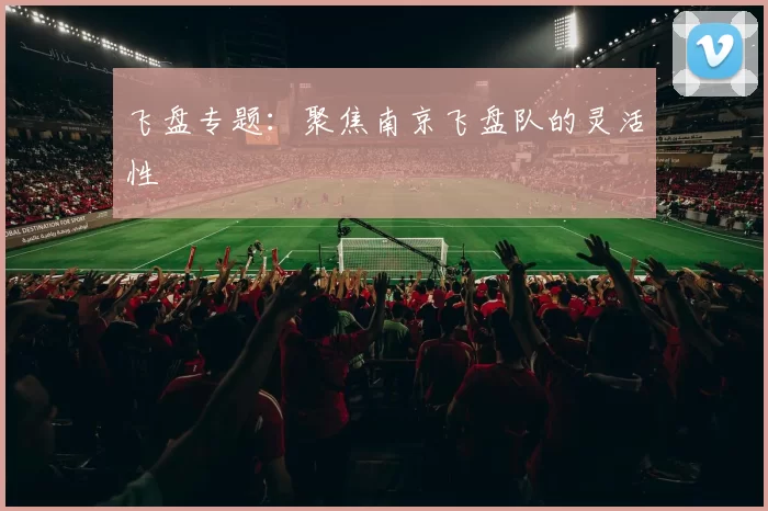 飞盘专题：聚焦南京飞盘队的灵活性