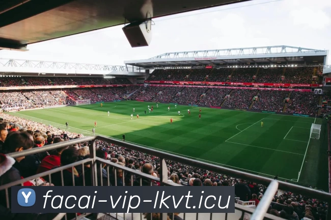 星空体育APP 封面图